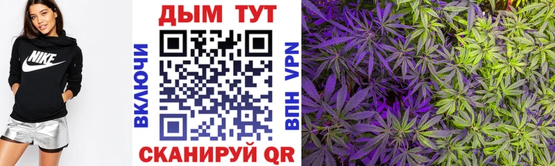 Купить наркотики цена Каргополь СОЛЬ  КЕТАМИН  OMG онион  КОКАИН 