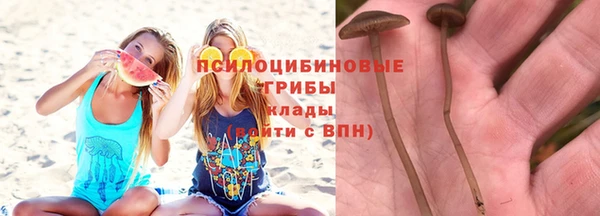 прущие крисы Покачи