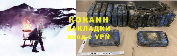 прущие грибы Абинск