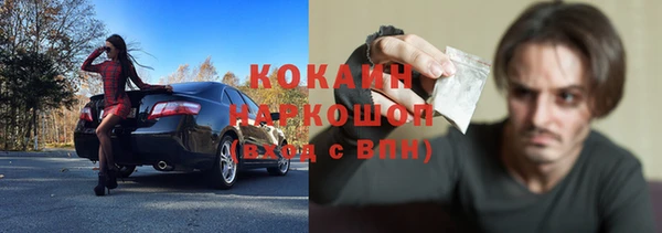 прущие грибы Абинск