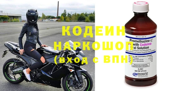 прущие грибы Абинск